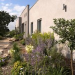 עיצוב נוף, התמונות באדיבות אמיר ארליך - מפקח בניה